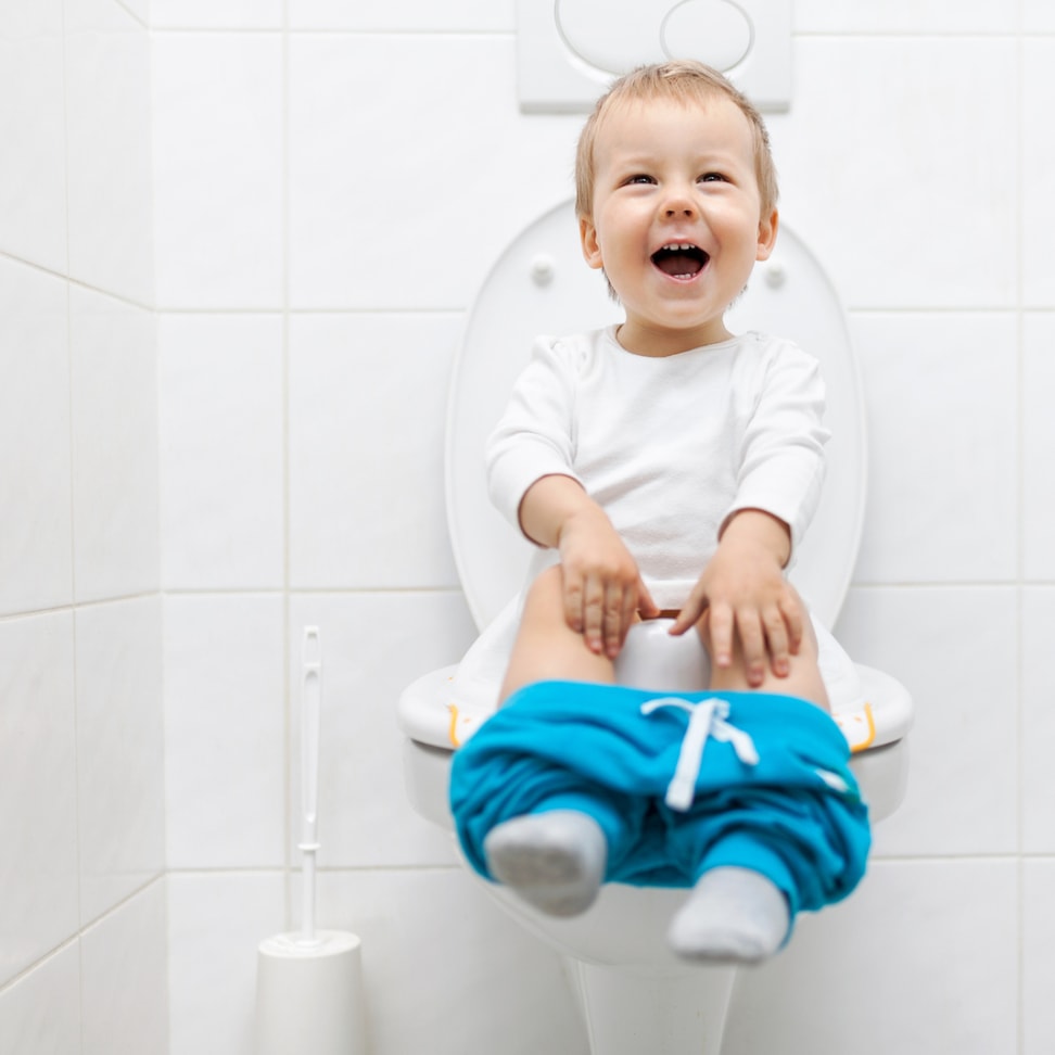best toilet seat for baby The 10 best toilet seats to buy : reviews & buyers guide