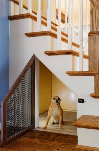 dog bed under stairs ideas Pin by kristen price on dogs life