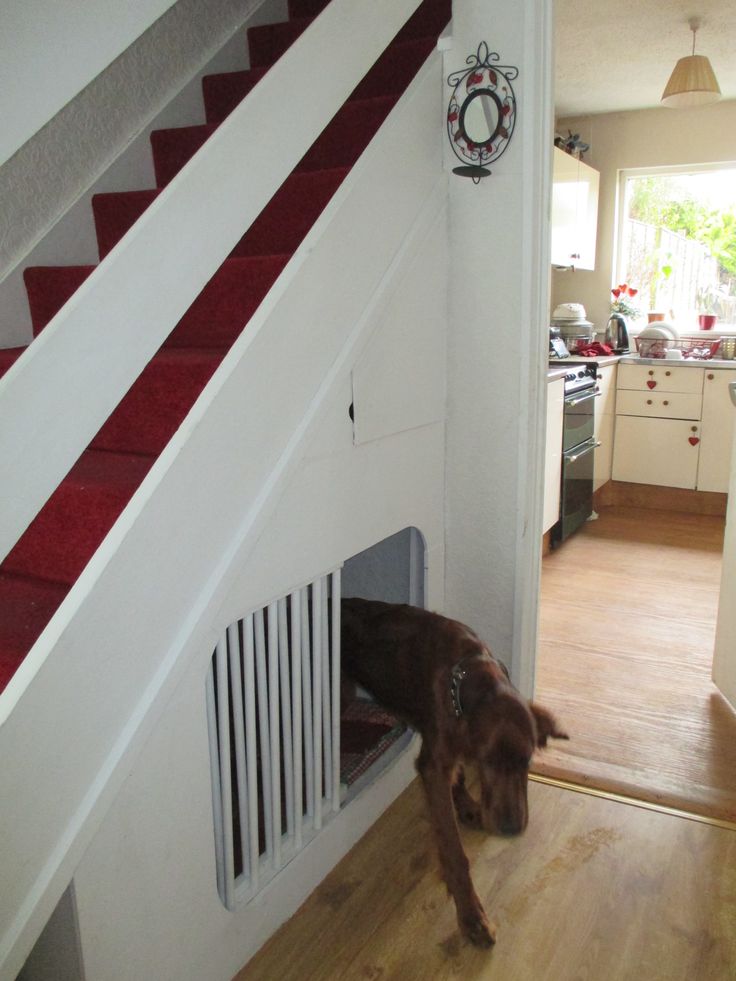 dog bedroom under the stairs Pin by english bulldog puppies on dogs life
