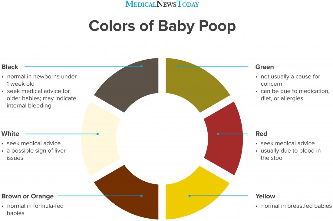 green colour toilet of baby Green color toilet for babies