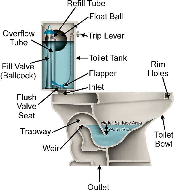 modern toilet not filling up How to unclog a toilet without a plunger