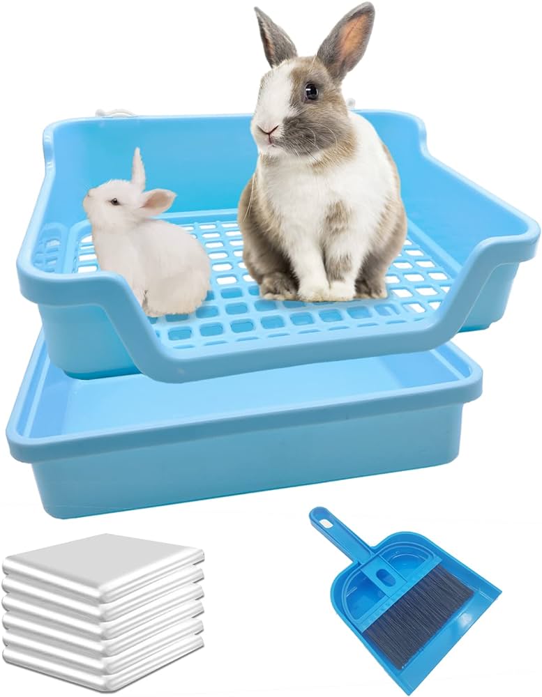 potty training baby rabbits Training potty bunnies dog lop allows he choose board