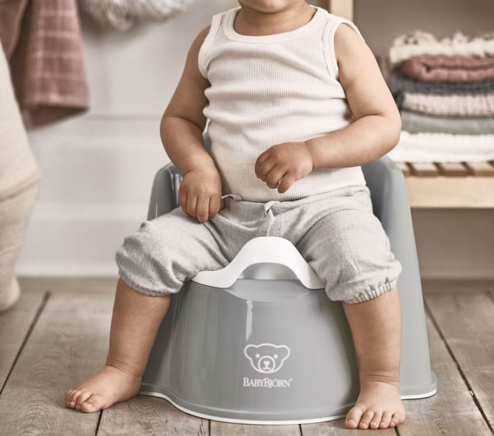 potty training seat baby bjorn 75 baby bjorn potty ideas