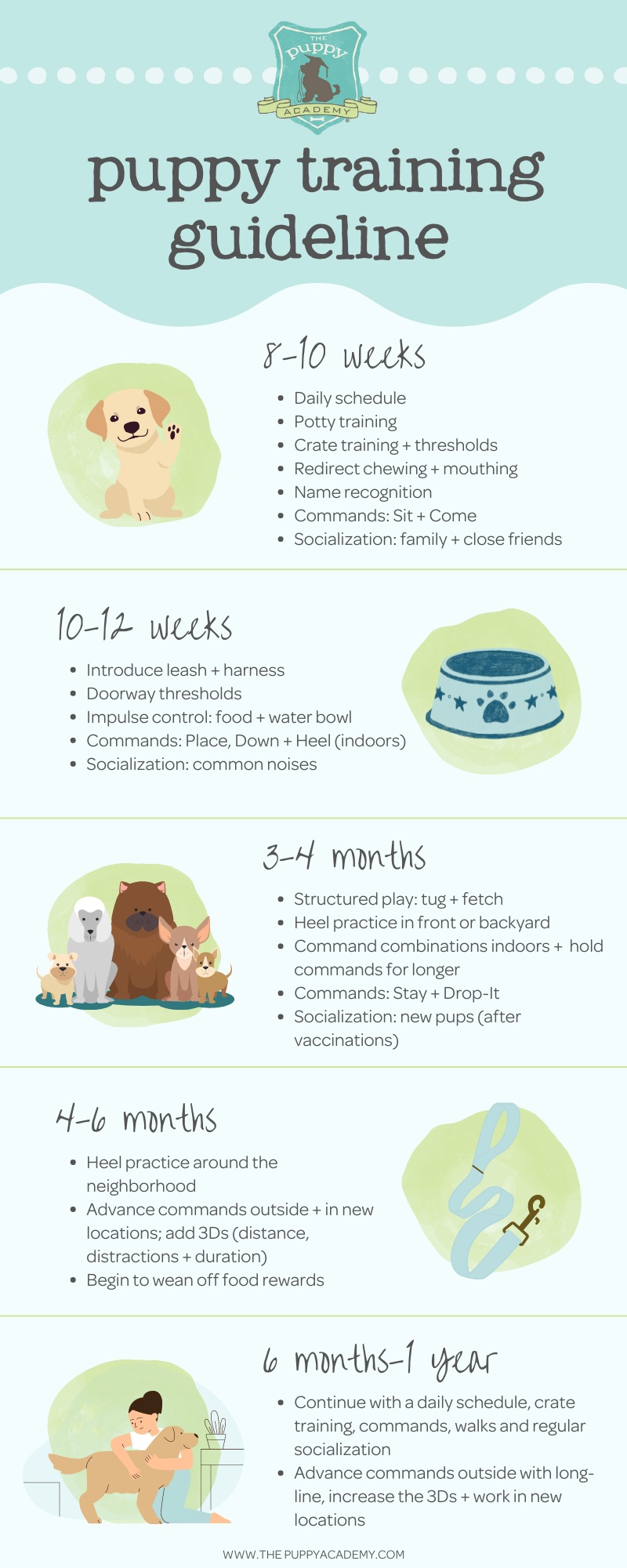 potty training tips for 5 month old puppy A complete guide to puppy potty training