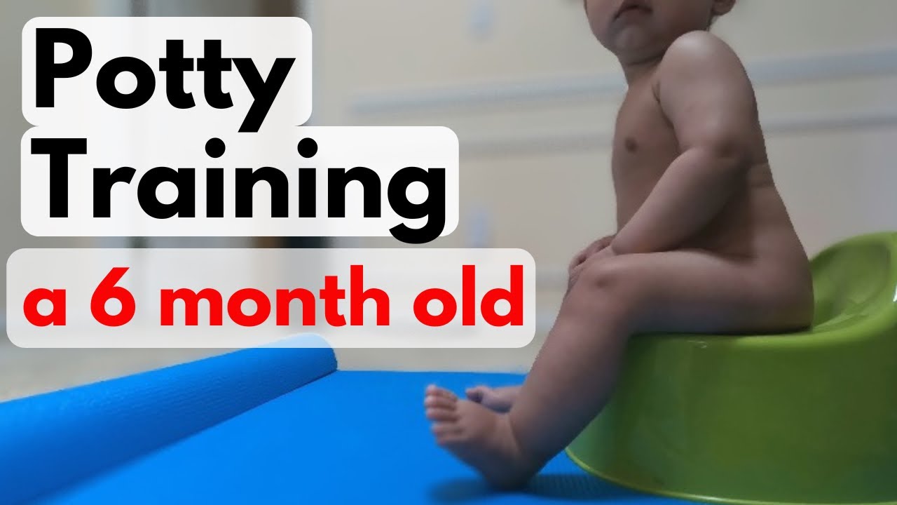 potty training to 6 month old baby Potty đã từ