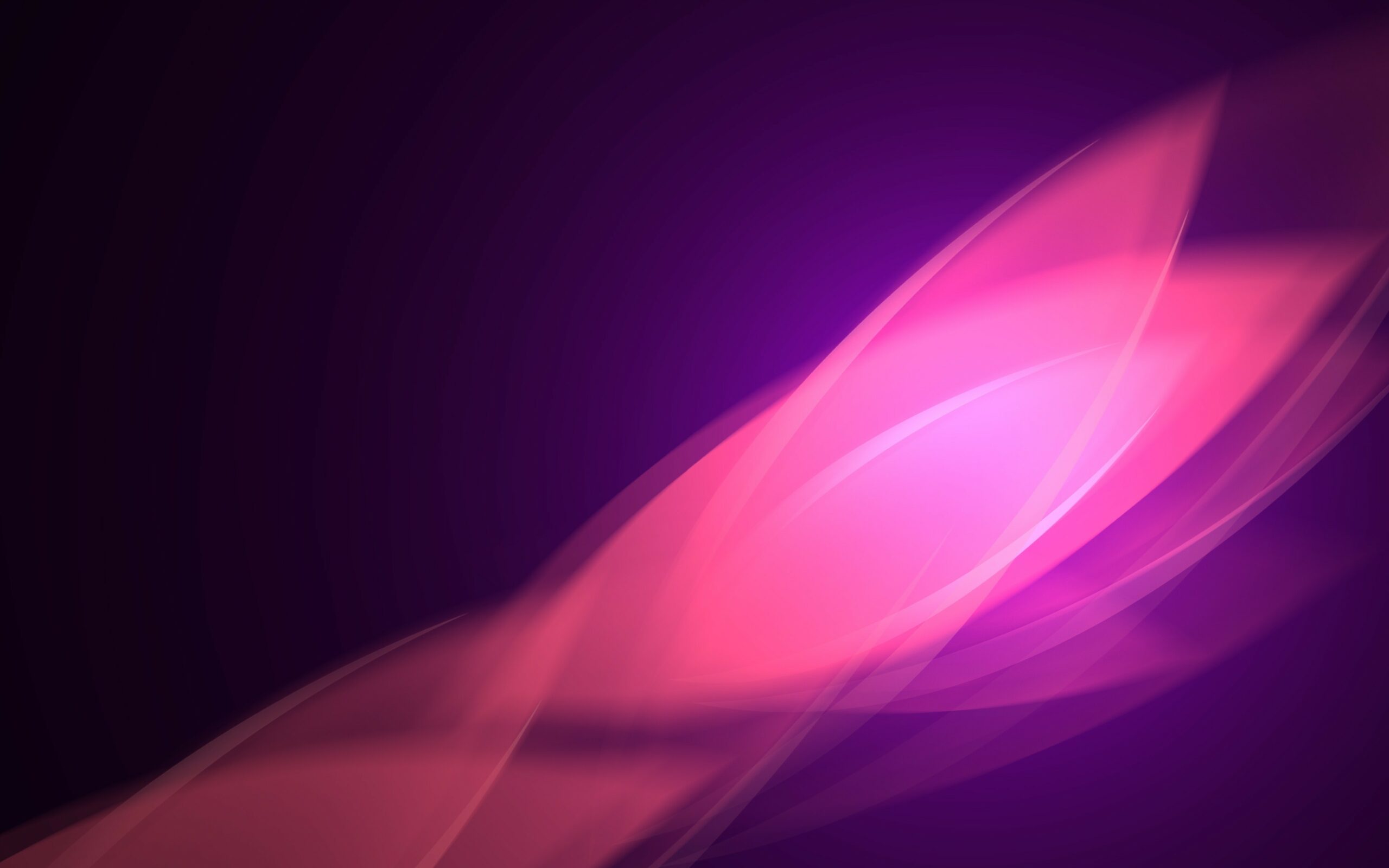 wallpaper 4k pc flare Flare 4k pink abstract wallpapers wallpaper background blur petal desktop simple purple artwork wide resolutions backiee hdwallpapers 2560 1600 1920