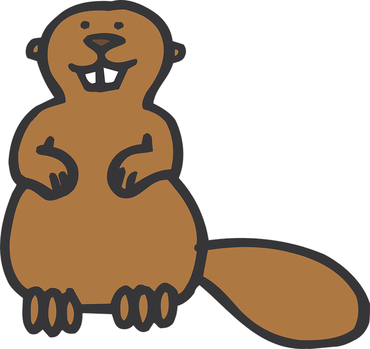 animal bear beaver png Beaver standing animal · free vector graphic on pixabay