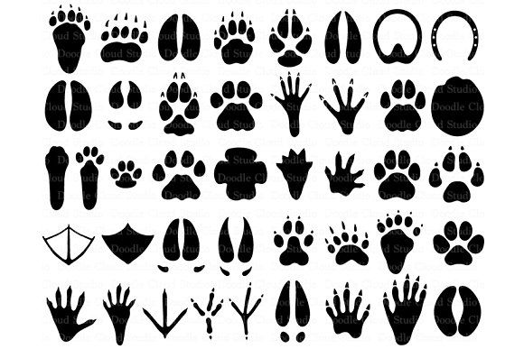 animal icon png image Bear icon animal icons track tracks footprints transparent animals clipart vector pawprint paw print svg set icons8 footprint clip geeksvgs