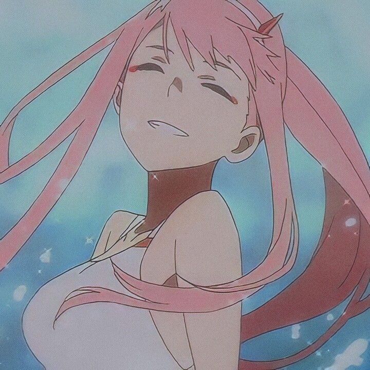 anime character aesthetic pfp Pfp zerotwo