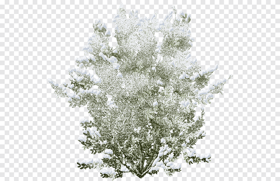 anime snow bush png Bush winter pluspng transparent