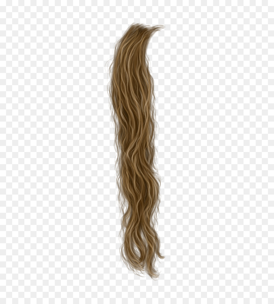 hair strand animation png Hair transparent