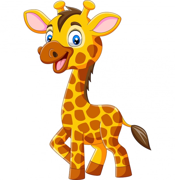 imagen de jirafa animado Feliz de dibujos animados jirafa aislada sobre fondo blanco — archivo