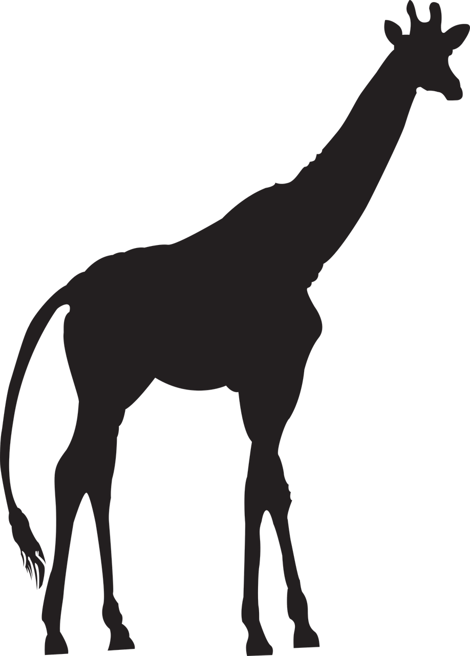 safari animals silhouette png Silhouette clipart giraffe safari animal pixabay clip outline svg africa clipground seleccionar tablero info