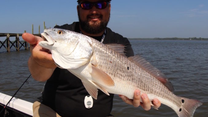 slot limit for redfish in sc Another slightly over slot redfish during a tourney! got to love those