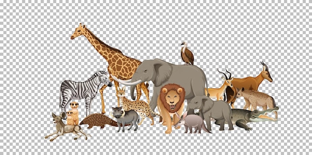 wild animals in png Download free animal png transparent background and clipart