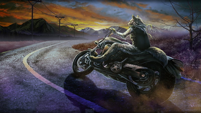 wolf on motorcycle wallpaper Lone wolf biker wallpapers